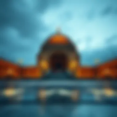 Magnificent 캐시트리에 대한 포괄적 조사