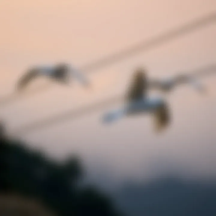Magnificent 크레딧 코인: 새로운 금융 생태계의 혁신
