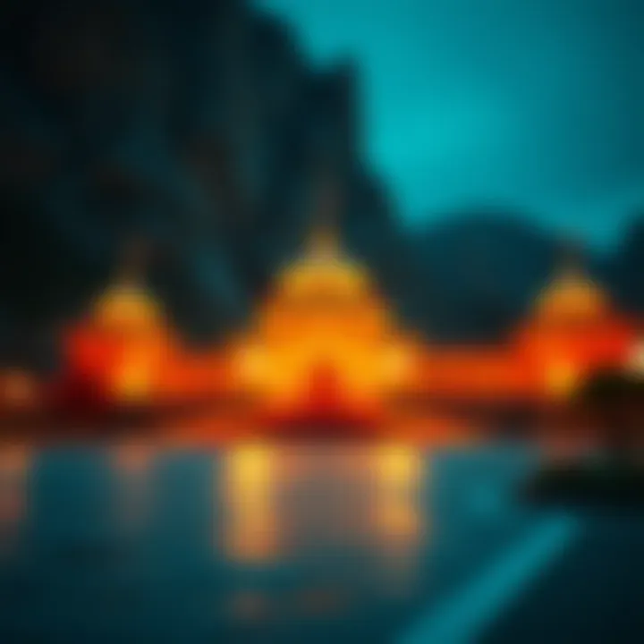 Magnificent 시가 구매에 대한 포괄적 이해