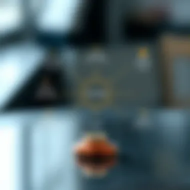 Diagram explaining the functionality of Alchemipay platform