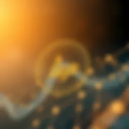 Overview of Algod functionality within the blockchain ecosystem