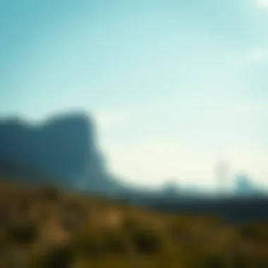 Legal landscape surrounding cryptocurrencies in Australia
