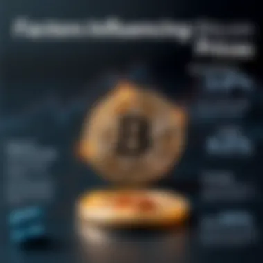 Infographic depicting key factors influencing Bitcoin pricing