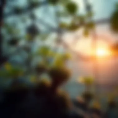 A visual concept of sustainable ecosystems supported by technology