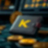 Features of Kaspa Wallet overview