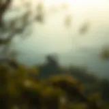 컵과 손잡이 패턴의 이해 Introduction
