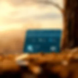 Illustration depicting the user interface of MetaMask wallet highlighting its features