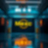 Mexc Exchange: 암호화폐의 미래 Introduction