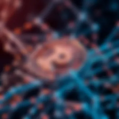 Mechanics of Portal Coin's Blockchain Technology Blockchain network illustrating the mechanics behind Portal Coin