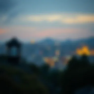 시가 구매에 대한 포괄적 이해 Introduction