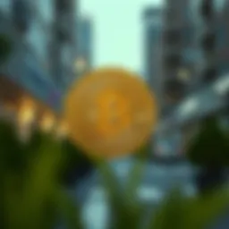 솔라나 코인 전망 Introduction