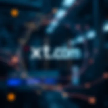 Security features of xt.com